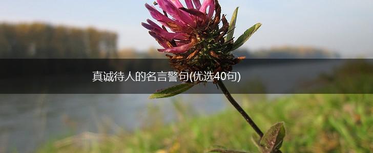 真诚待人的名言警句(优选40句),第1张