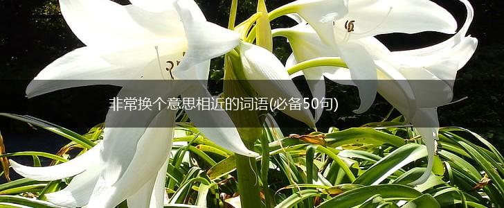 非常换个意思相近的词语(必备50句),第1张