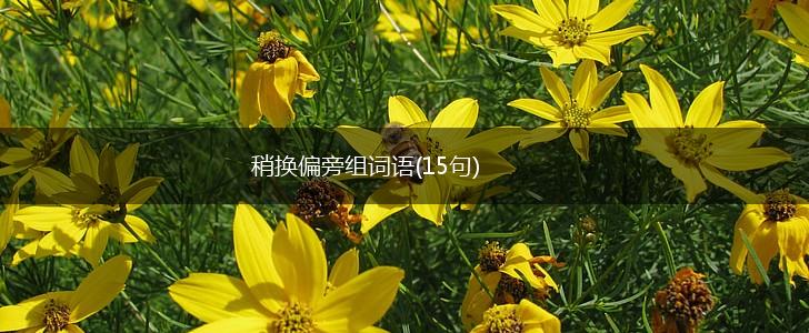 稍换偏旁组词语(15句),第1张