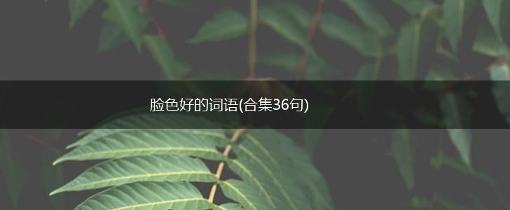 脸色好的词语(合集36句),第1张