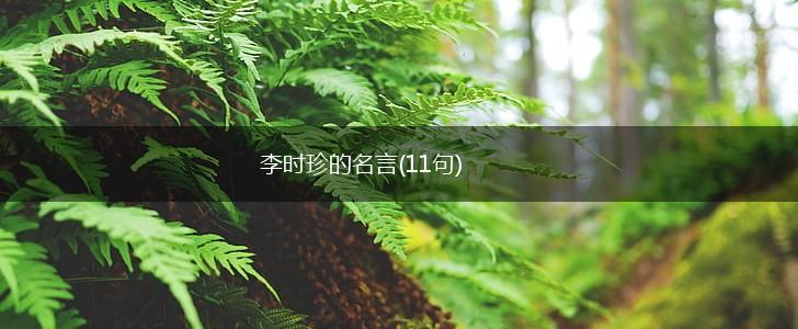 李时珍的名言(11句),第1张