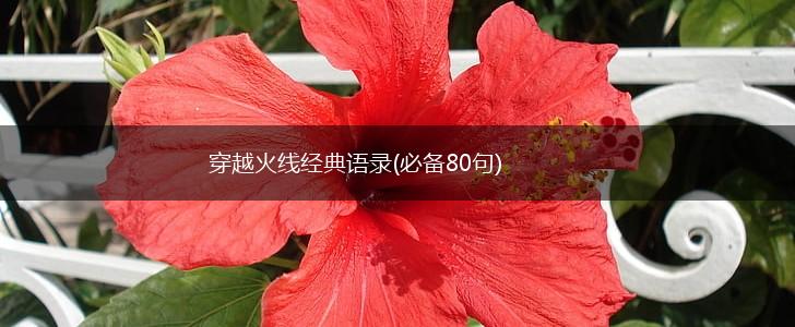 穿越火线经典语录(必备80句),第1张