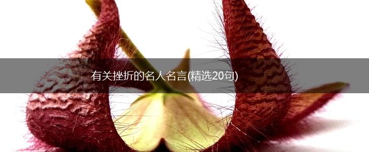 有关挫折的名人名言(精选20句),第1张