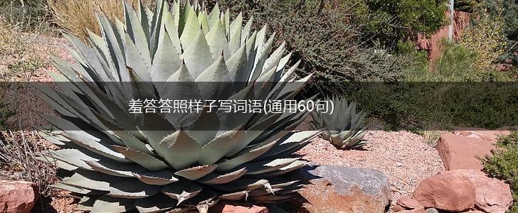 羞答答照样子写词语(通用60句),第1张