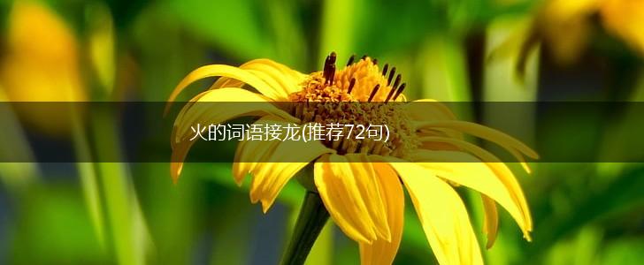 火的词语接龙(推荐72句),第1张