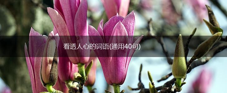 看透人心的词语(通用40句),第1张