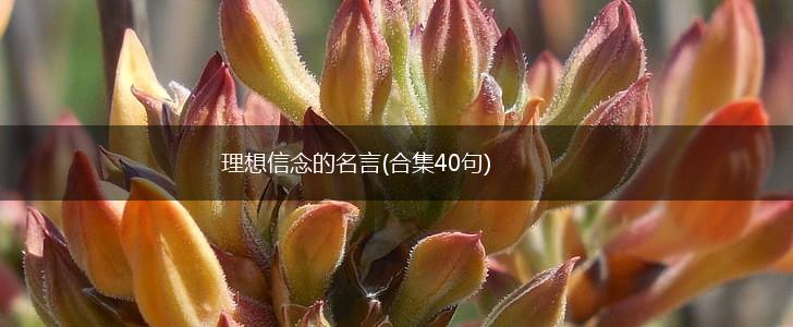 理想信念的名言(合集40句),第1张