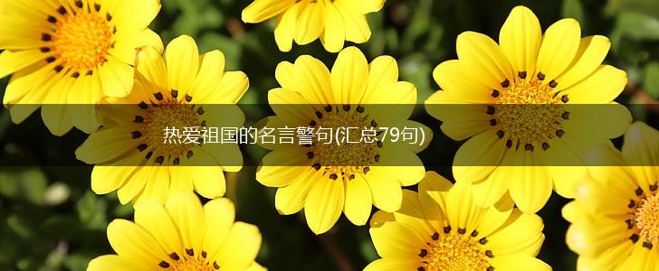 热爱祖国的名言警句(汇总79句),第1张 热爱祖国的名言警句(汇总79句),第1张