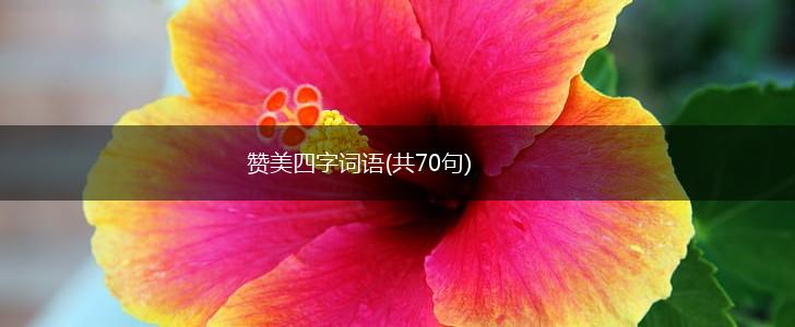 赞美四字词语(共70句),第1张 赞美四字词语(共70句),第1张