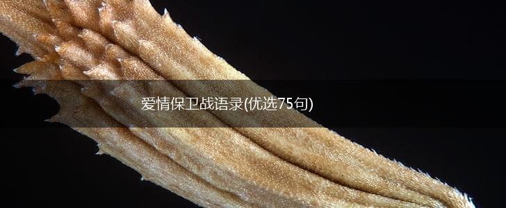 爱情保卫战语录(优选75句),第1张