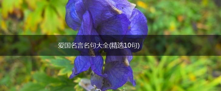 爱国名言名句大全(精选10句),第1张