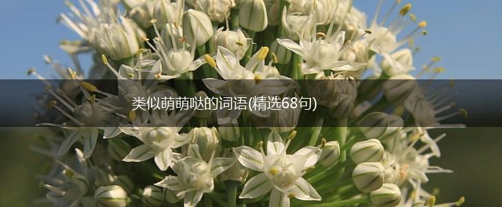 类似萌萌哒的词语(精选68句),第1张