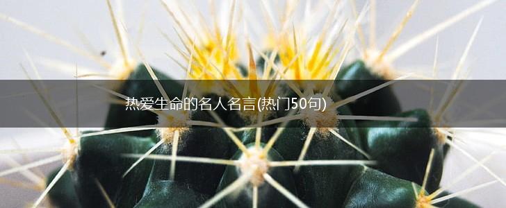 热爱生命的名人名言(热门50句),第1张