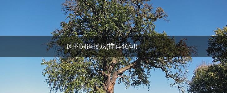 风的词语接龙(推荐46句),第1张