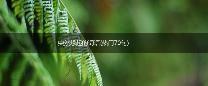 突然想起的词语(热门70句),第1张