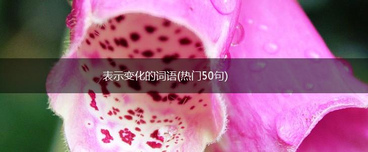 表示变化的词语(热门50句),第1张
