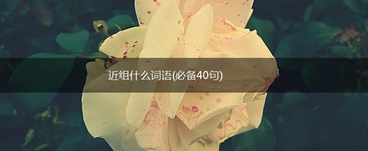 近组什么词语(必备40句),第1张