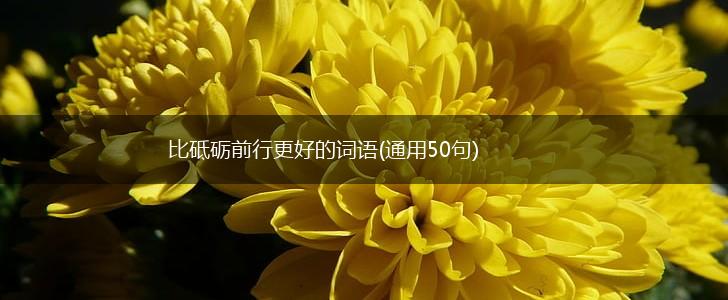 比砥砺前行更好的词语(通用50句),第1张