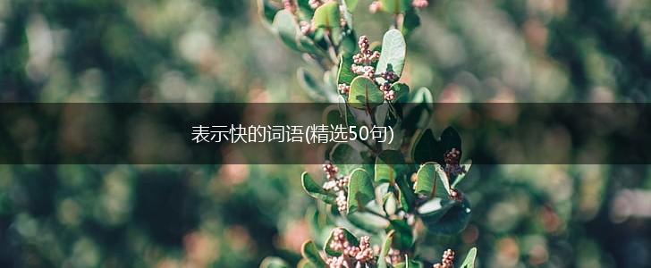 表示快的词语(精选50句),第1张