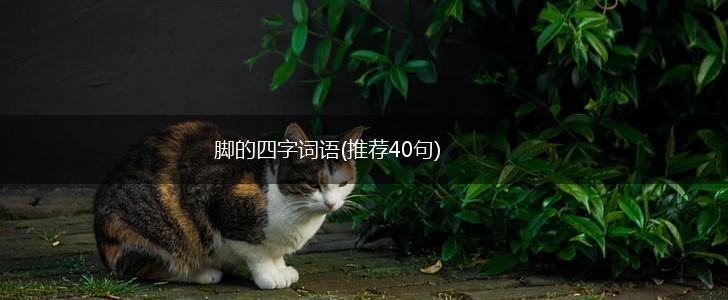 脚的四字词语(推荐40句),第1张