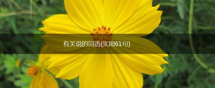 有关说的词语(实用61句),第1张