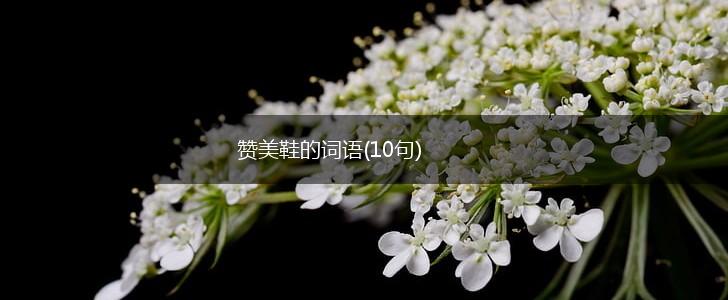 赞美鞋的词语(10句),第1张 赞美鞋的词语(10句),第1张