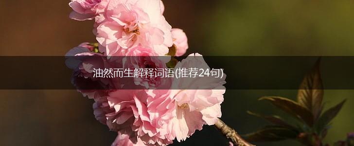 油然而生解释词语(推荐24句),第1张