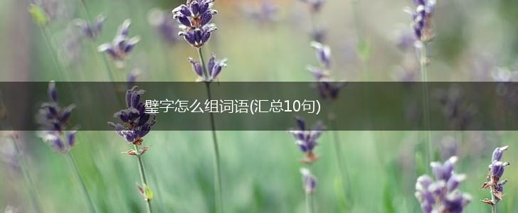 璧字怎么组词语(汇总10句),第1张
