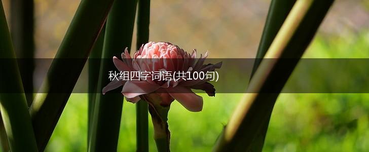 秋组四字词语(共100句),第1张 秋组四字词语(共100句),第1张