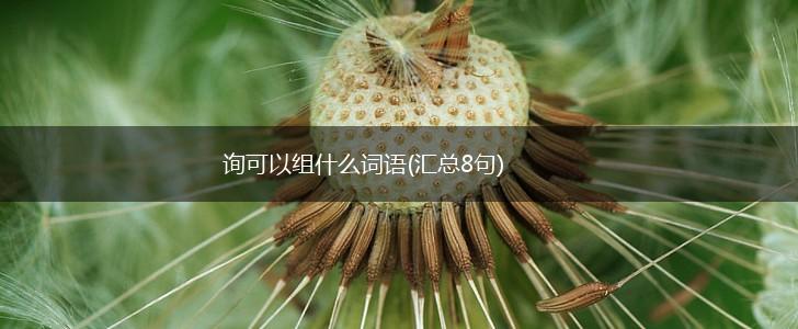 询可以组什么词语(汇总8句),第1张