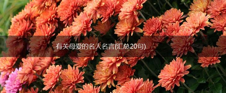 有关母爱的名人名言(汇总20句),第1张