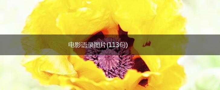 电影语录图片(113句),第1张