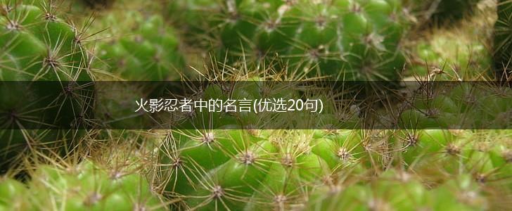 火影忍者中的名言(优选20句),第1张
