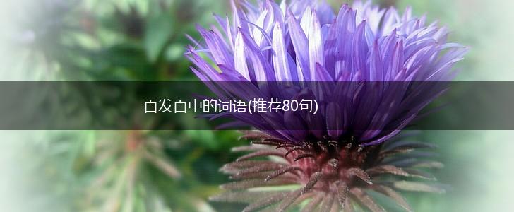 百发百中的词语(推荐80句),第1张