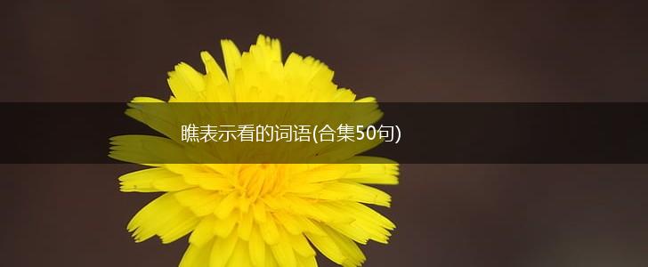 瞧表示看的词语(合集50句),第1张