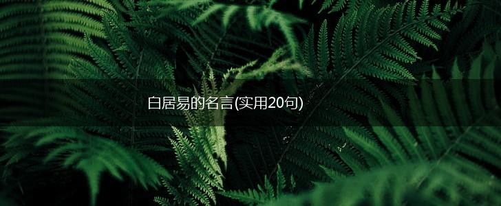 白居易的名言(实用20句),第1张