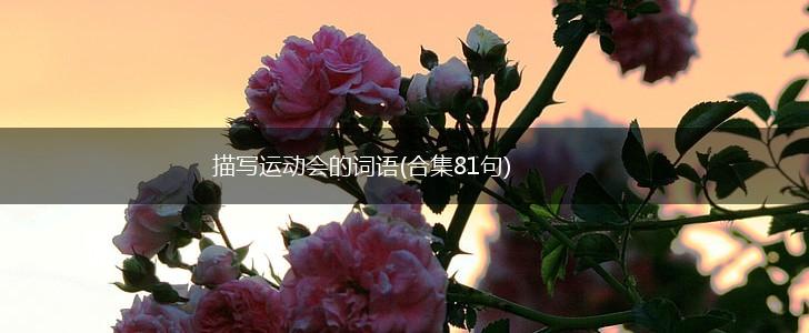 描写运动会的词语(合集81句),第1张