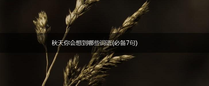 秋天你会想到哪些词语(必备7句),第1张