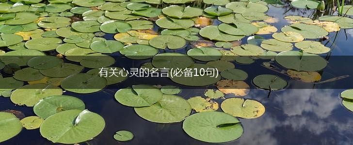 有关心灵的名言(必备10句),第1张