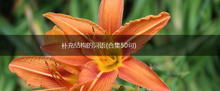 补充结构的词语(合集50句),第1张