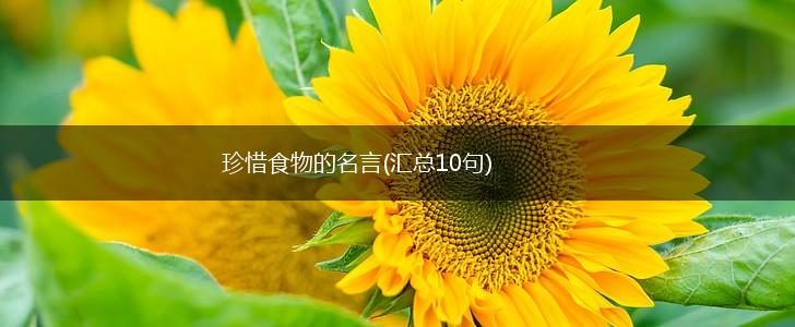 珍惜食物的名言(汇总10句),第1张