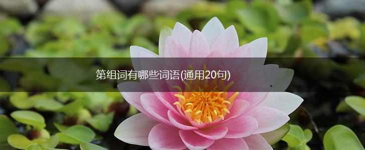 第组词有哪些词语(通用20句),第1张 第组词有哪些词语(通用20句),第1张