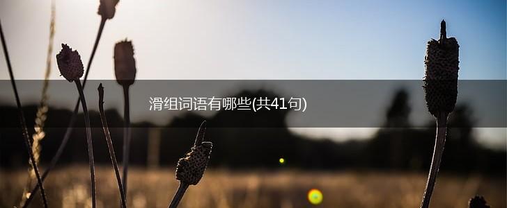 滑组词语有哪些(共41句),第1张