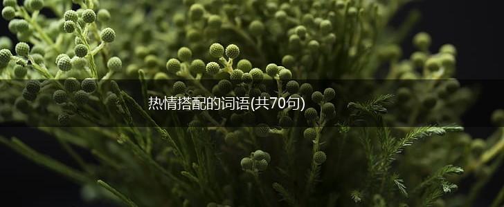 热情搭配的词语(共70句),第1张