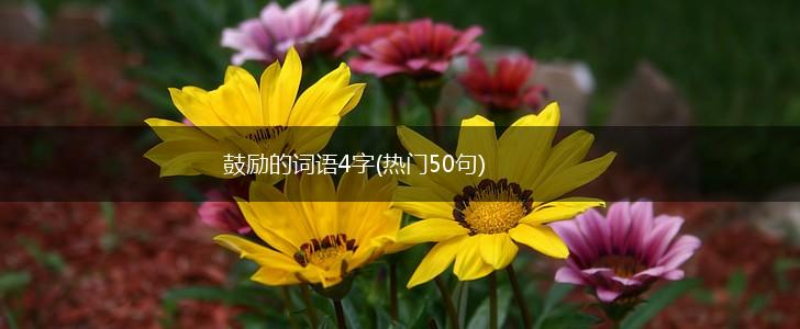 鼓励的词语4字(热门50句),第1张