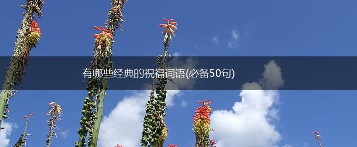 有哪些经典的祝福词语(必备50句),第1张
