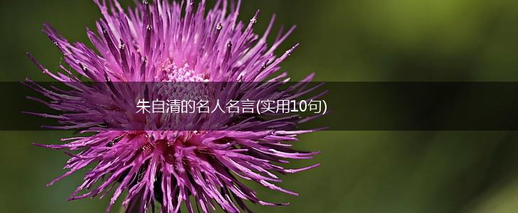 朱自清的名人名言(实用10句),第1张