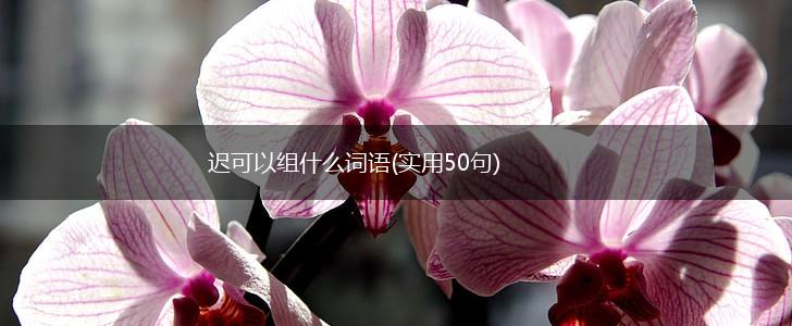 迟可以组什么词语(实用50句),第1张