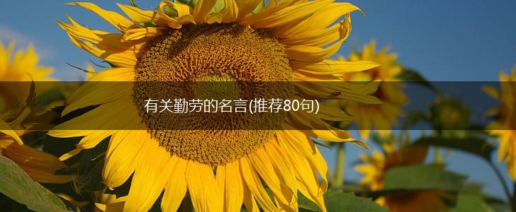 有关勤劳的名言(推荐80句),第1张