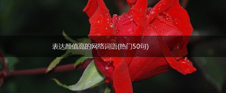 表达颜值高的网络词语(热门50句),第1张
